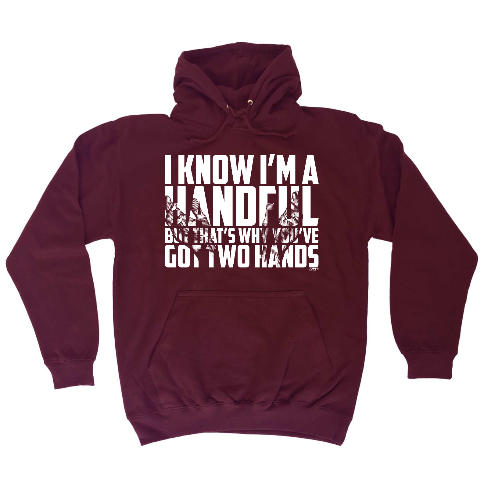 Funny Hoodie I Know Im A Handful Birthday Joke Tee T Novelty Hooded Top Hoody Ebay